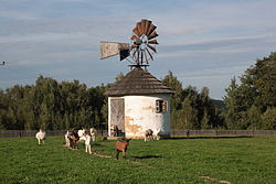 Součástí skanzenu je i větrný mlýn