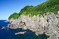 大引きの鼻から望む香住海岸