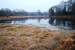 Nusekęs Kregždelės ežeras 2013 m. sausį