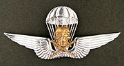 Royal Hungarian Army parachutist badge in silver