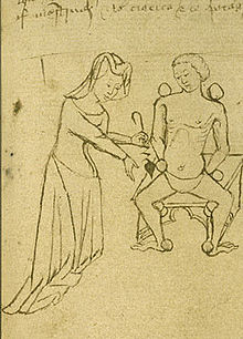 A woman who is a physician caring for a patient is dressed in the height of contemporary fashion Medieval female physician.jpg