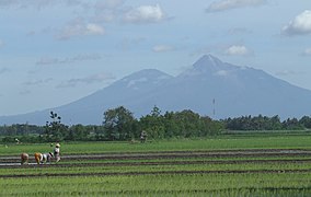 Gunung Merbabu dan Merapi