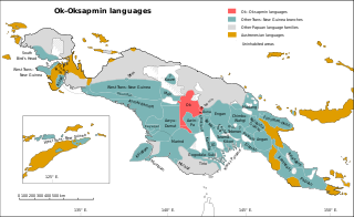 Ok-Oksapmin Languages