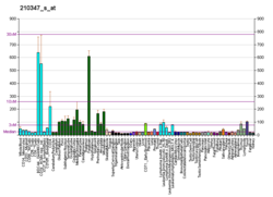 PBB GE BCL11A 210347 s в формате fs.png