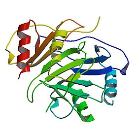 Схематическое изображение фактора 4 тромбоцита, связывание гепарина с которым приводит к иммунной реакции в виде ГИТ.