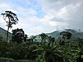 Miniatura para Parque nacional de Phước Bình