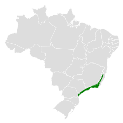 Distribución geográfica del orejerito de Oustalet.