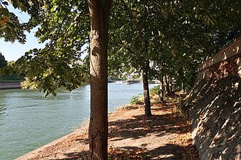 Berges en contrebas du quai Gallieni.