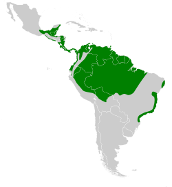 Distribución geográfica del soterillo picudo.