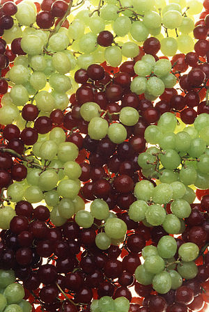 Ripe table grapes
