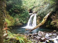 Salto Anticura