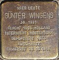 Stolperstein für Günter Wingens (Dasselstraße 22)