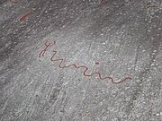 Een rotstekening van een slang.
