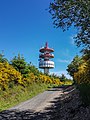 Tour hertzienne du fût d'Avenas vue depuis le bord de la route.