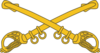 US-Cavalry-Branch-Insignia.png