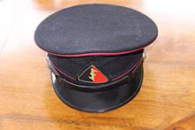 Dutch WWII NSB (Nationaal-Socialistische Beweging) cap WWII Dutch NSB cap.jpg