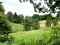 Wald-/Wiesenmosaik im oberen Stöcker Bachtal