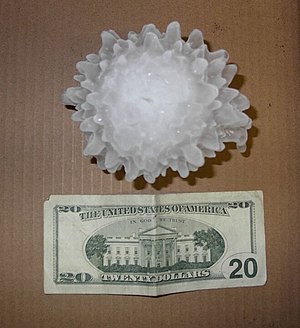 A large hailstone, approximately 5 1/4 inches ...