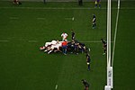 Miniatura para Inglaterra en la Copa Mundial de Rugby de 2007