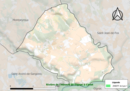 Carte de la ZNIEFF de type 1 sur la commune.