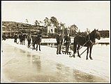 Isskjæring med hest, ved Kragerø, 1908 foto: Wilse