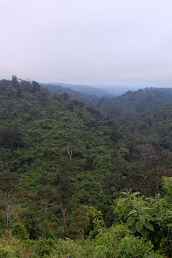 Národní park Aberdare