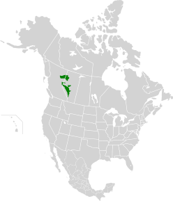 Alberta-British Columbia foothills forests map.svg