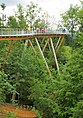 Baumwipfelpfad Neckertal in Mogelsberg