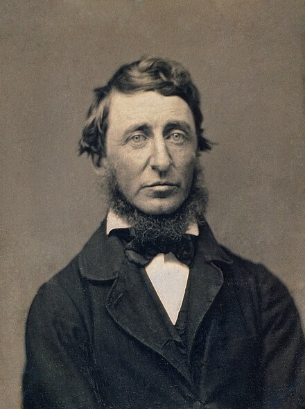 Essays henry david thoreau herald ideas conversation preservation