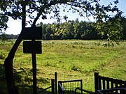 Natuurgebied Cruysbergen