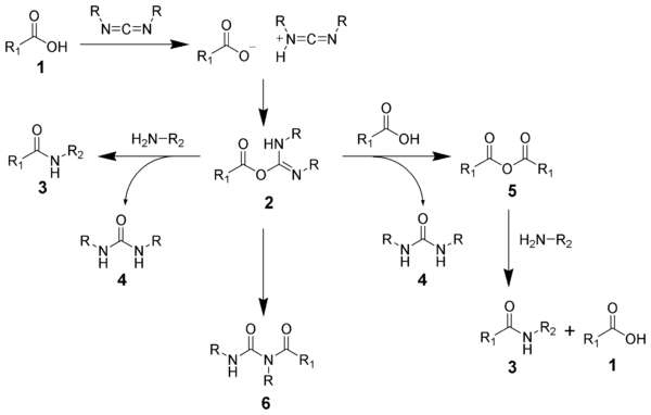 Механизм реакции образования амида с использованием карбодиимида