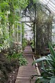 Dunskey House Greenhouse