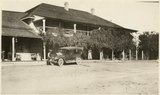 Hotel front is covered by single old grape vine