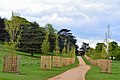 Elm Walk by Petersham Gate, Richmond Park: 47 'New Horizon' shortly after planting (2018)[20]