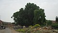 L'entrée du village d'Ait Mhamed