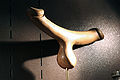 A phallic carving on display at The Erotic Museum, Paris