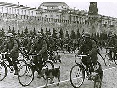 Военные собаководы на велосипедах на параде 1 мая 1938 года