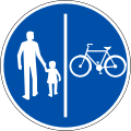 Compulsory track for pedestrians and cyclists. Dual track