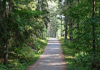 Skogsvägen med Gamla Ekholmsnäsvägen i fonden.