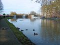 Roermond, Hochwasserschutztore