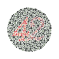 Ishihara Plate 23