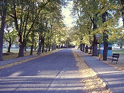 Alley on square in Jevany