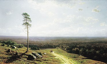 Las w oddali w południe, 1878