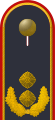 Dienstgradabzeichen eines Generalmajors auf Schulterklappe der Jacke des Dienstanzuges für Luftwaffenuniformträger