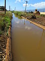 Irrigation ditch where the Three-Year Swim Club practiced