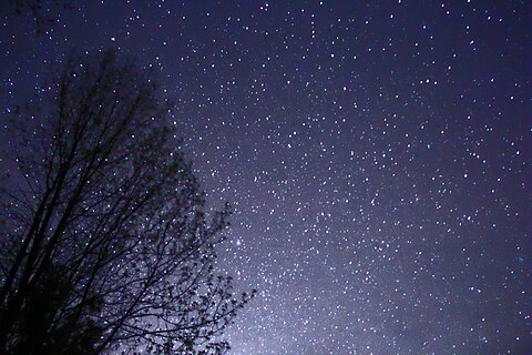 The night sky with stars viewed behind the silhouette of a tree bare of leaves.