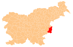 Location of the Municipality of Brežice in Slovenia