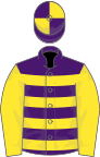 Purple and yellow hoops, yellow sleeves, quartered cap