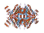 1хwи​: Комплекс каталитичке порције људске HMG-COA редуктазе са флувастатином