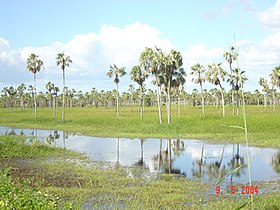 Pouso Redondo